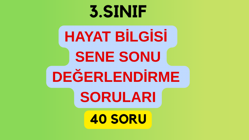 3.Sınıf Hayat Bilgisi Sene Sonu Değerlendirme Soruları