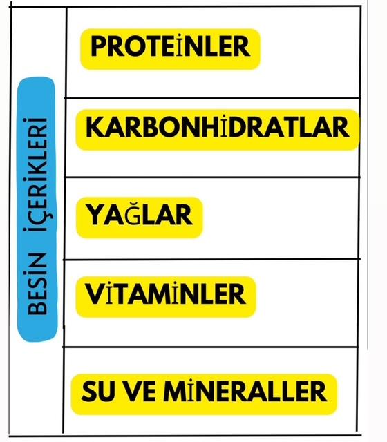 Besin İçerikleri İnteraktif Defter Çalışması