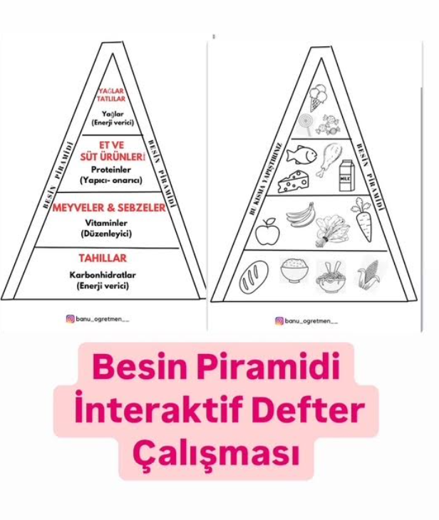 Besin Piramidi İnteraktif Defter Çalışmaları