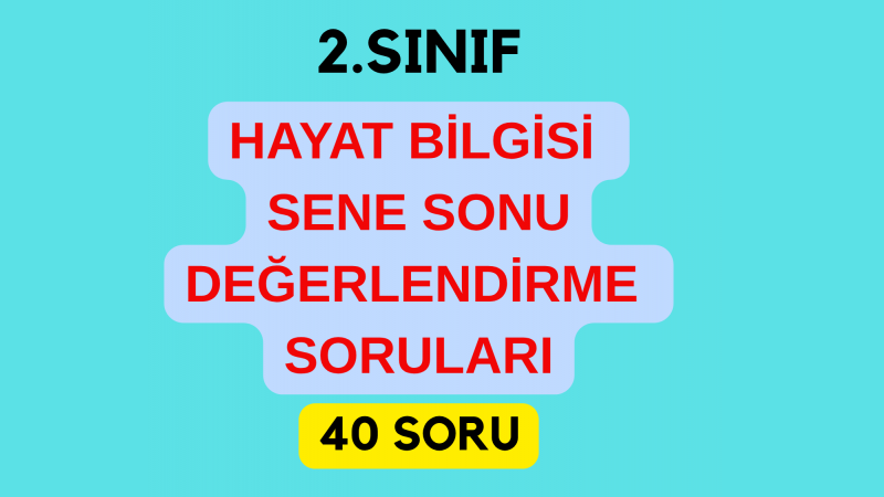 2.Sınıf Hayat Bilgisi Sene Sonu Değerlendirme Soruları