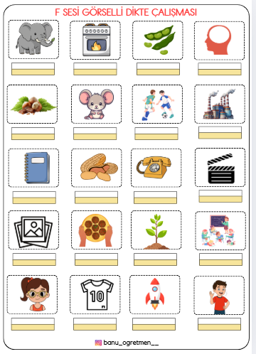 F Sesi Görselli Dikte Çalışması