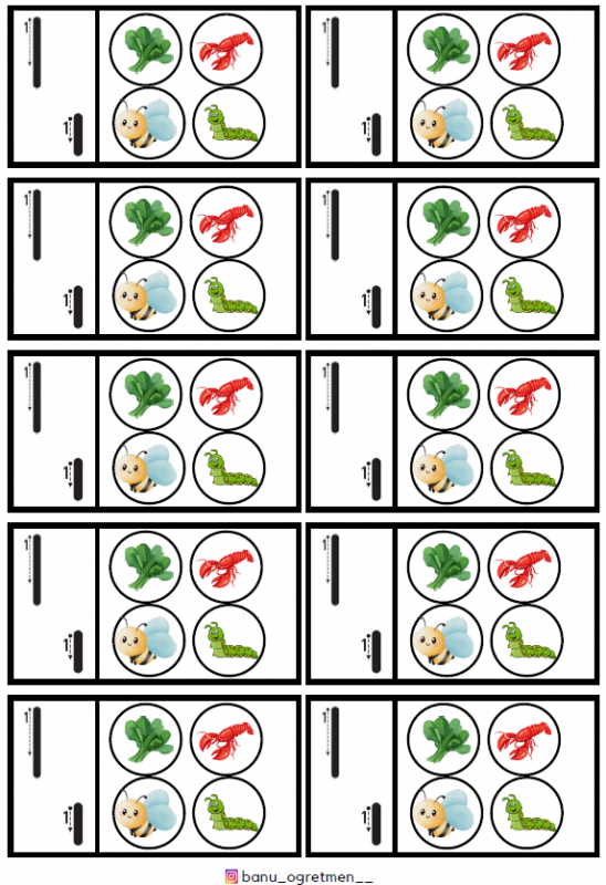 I Sesi İnteraktif Defter Çalışması