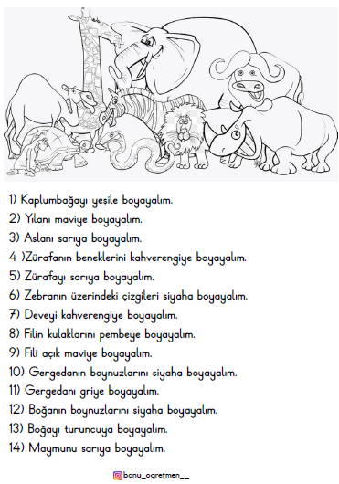 Oku Anla Boya Çalışması-2