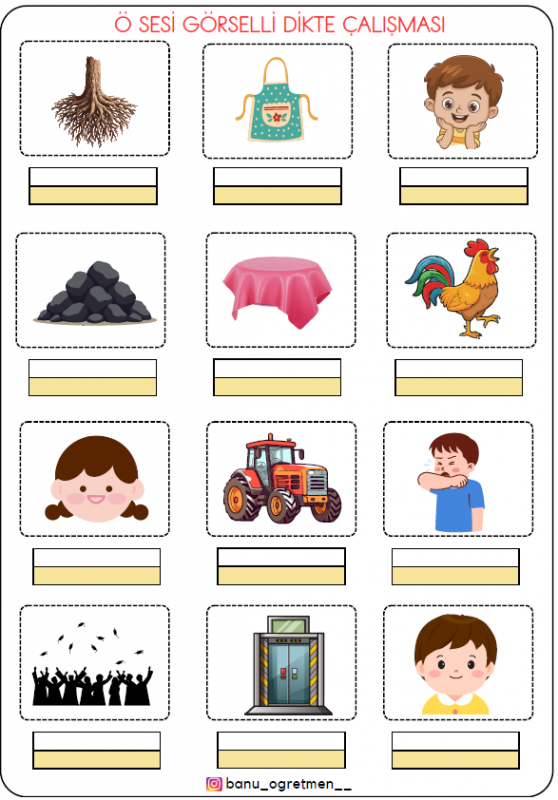 Ö Sesi Görselli Dikte Çalışması