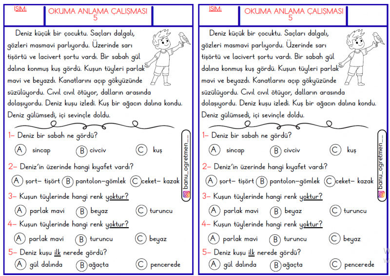 Okuma Anlama Metni-5