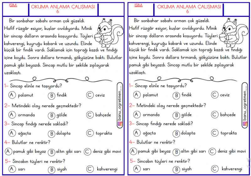Okuma Anlama Metni-6