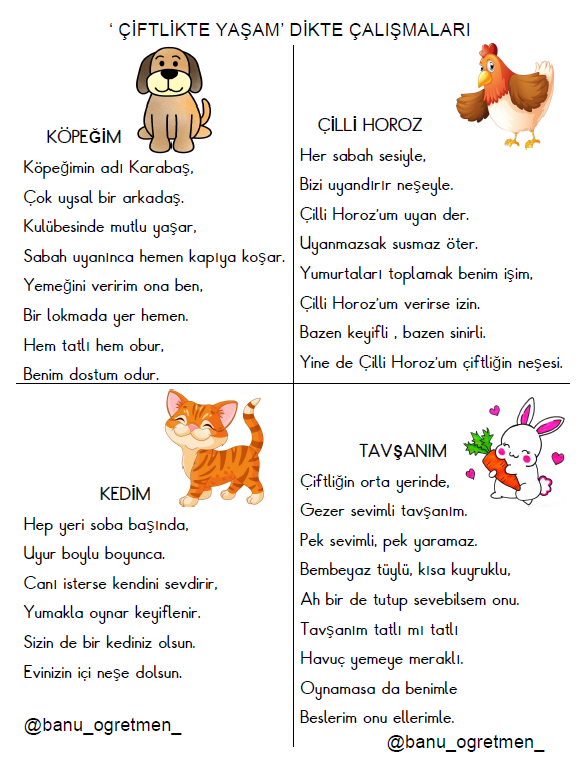 Çiftlikte Yaşam Görselli Dikte 