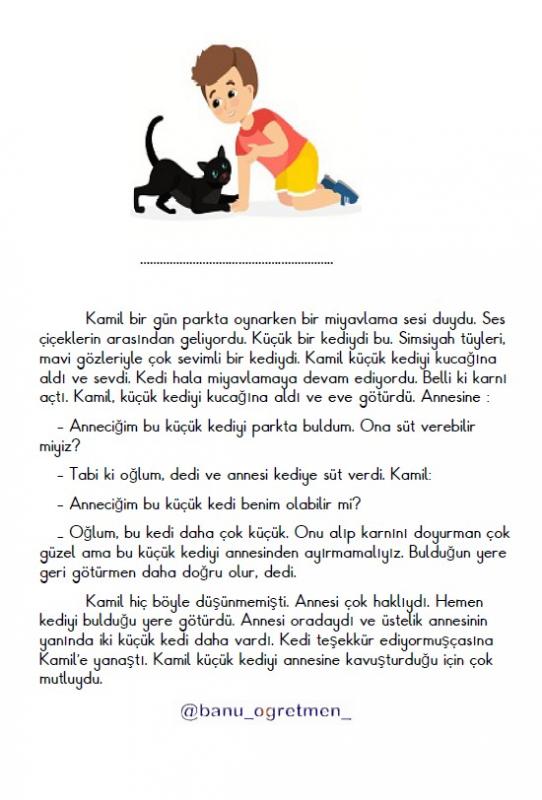 Kamil ve Küçük Kedi Okuma Anlama Çalışması