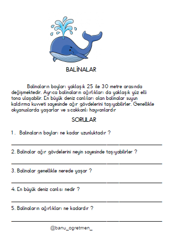 Deniz Canlıları Okuma Anlama Çalışması