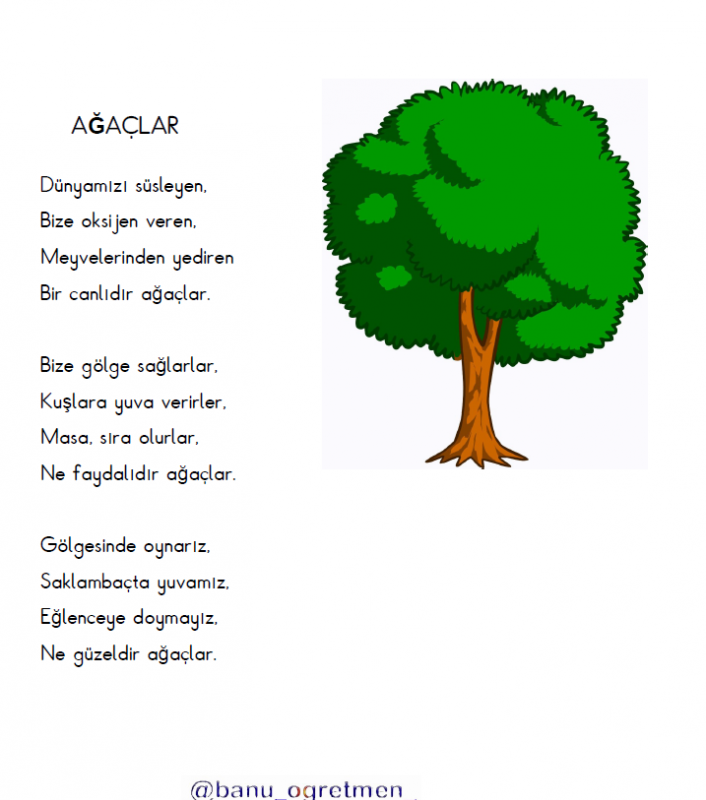 Ağaçlar Şiiri Okuma Anlama Çalışması