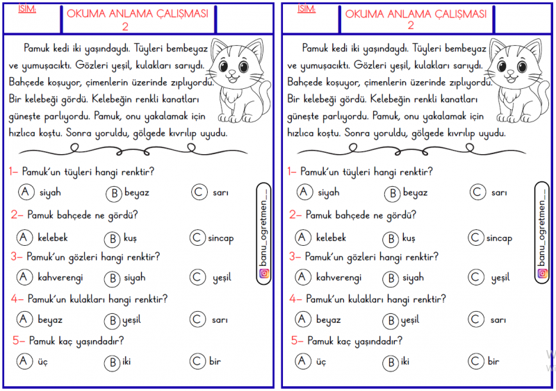 Okuma Anlama Metni-2